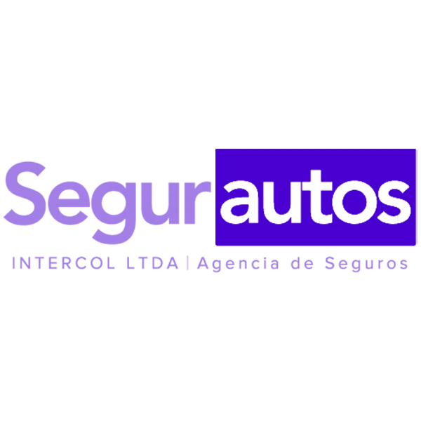 Segurautos